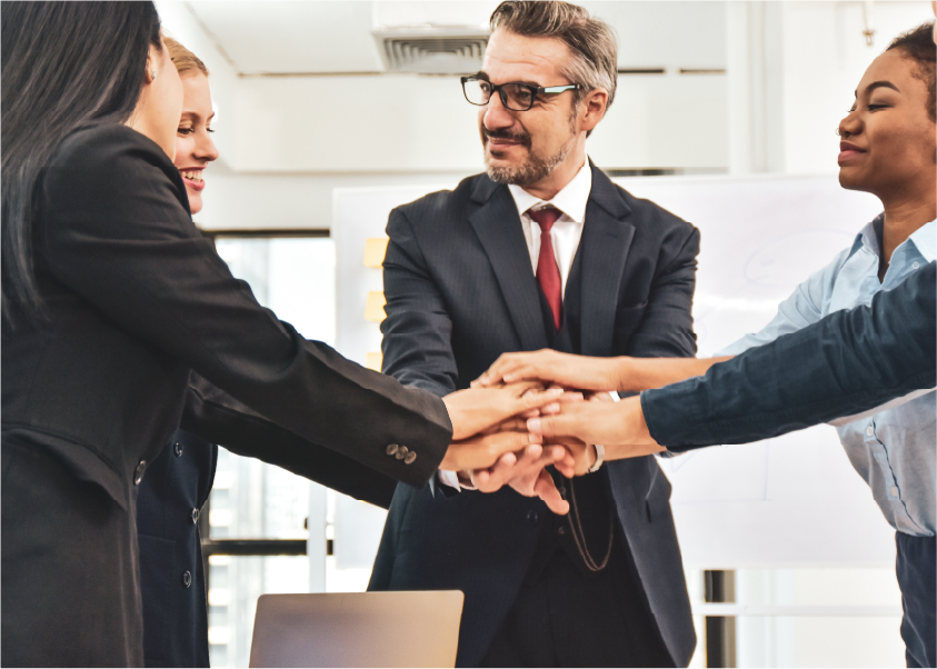 Fresh dates on palm tree